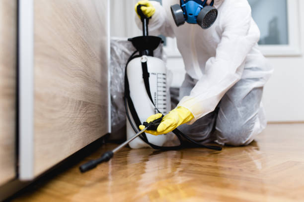 Best Pest Prevention Services  in Jackson Center, OH