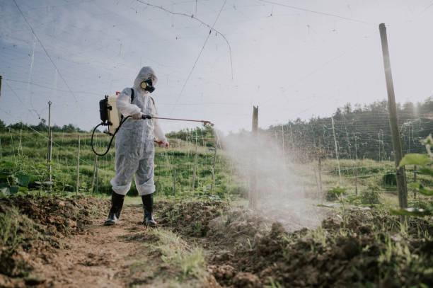 Best Ant Control Services  in Jackson Center, OH