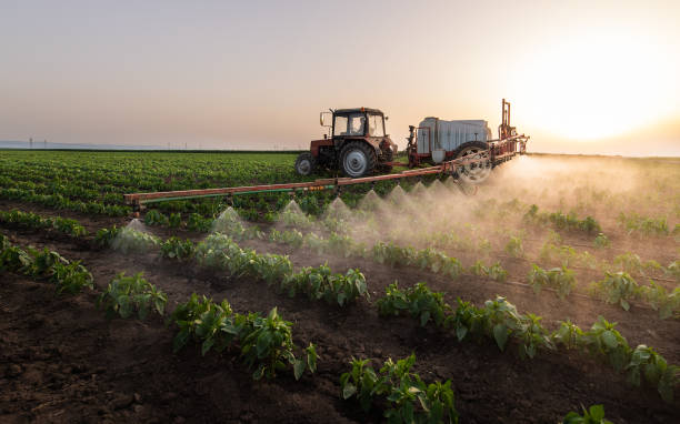 Best Mosquito Control Services  in Jackson Center, OH