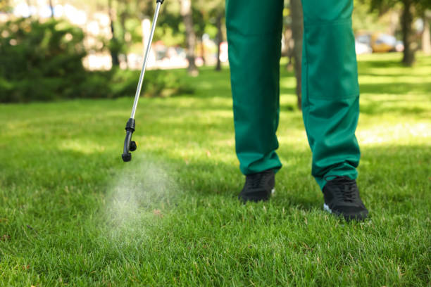 Best Local Pest Control Services  in Jackson Center, OH