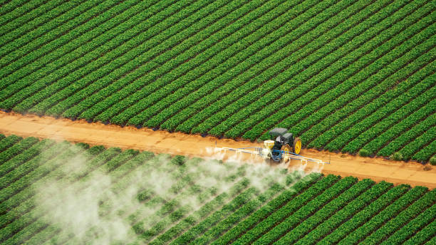 Best Termite Control Services  in Jackson Center, OH