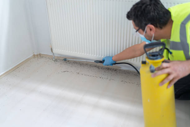 Reliable Jackson Center, OH Pest Control Solutions